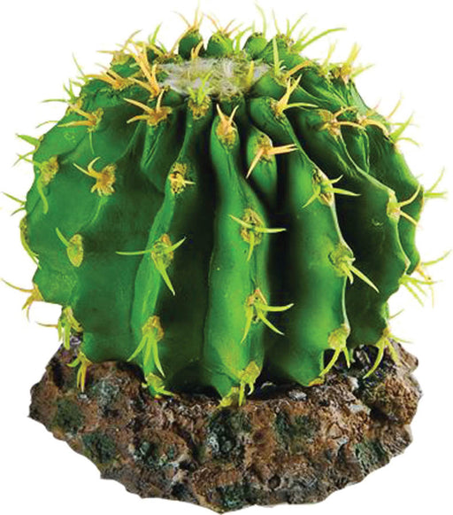 RS Cactus with Rock Base 10 x 10 x 8cm Default Title