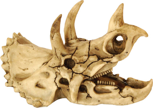 RS Skull Dinosaur 18.5 x 10 x 12.5cm Default Title