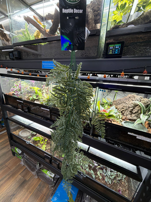 Betta Terra Green Fern 80cm