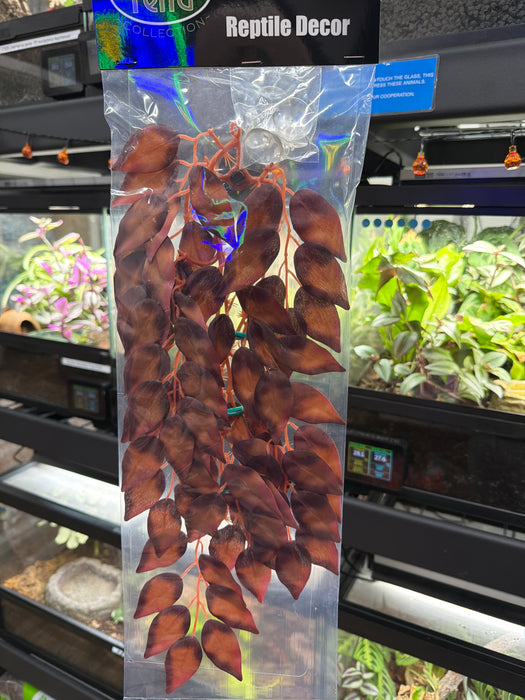 Betta Terra Red Terrarium Vine 37cm