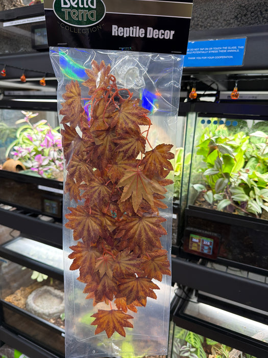 Betta Terra Orange Terrarium Vine 37cm
