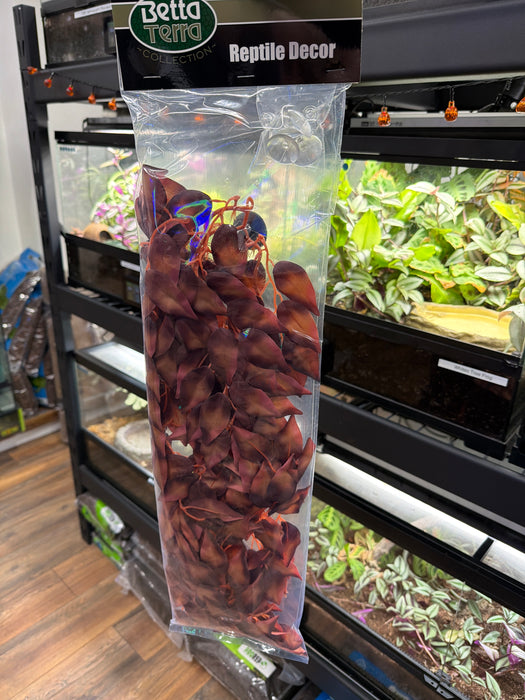 Betta Terra Red Terrarium 70cm