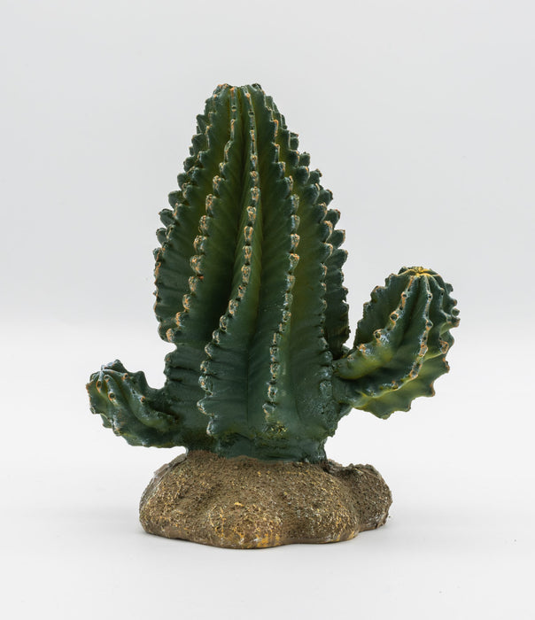 ProRep Cactus 13×7.5x15cm