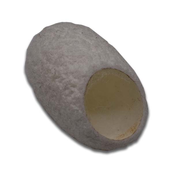 Magnetic Jumping Spider Nest (2x Pack)