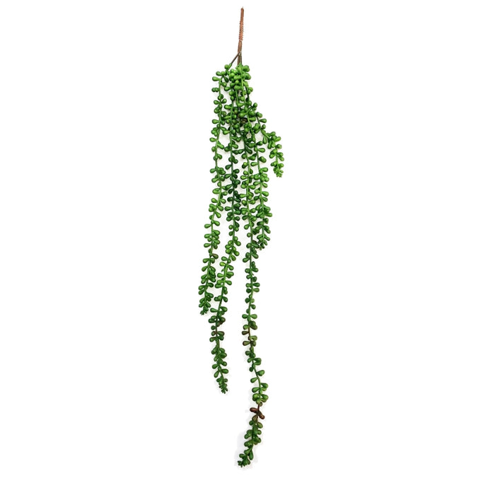 Betta Terra Green/Red Vine 70cm