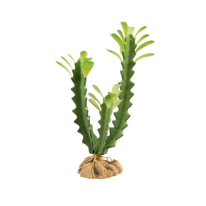 Zoo Med Desert Flora - Euphorbia