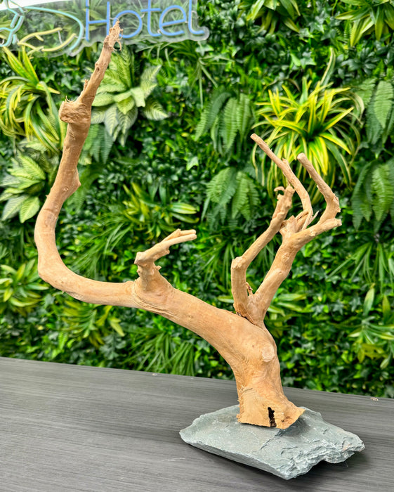 Wood Root with Slate Rock Base (30-45cm)