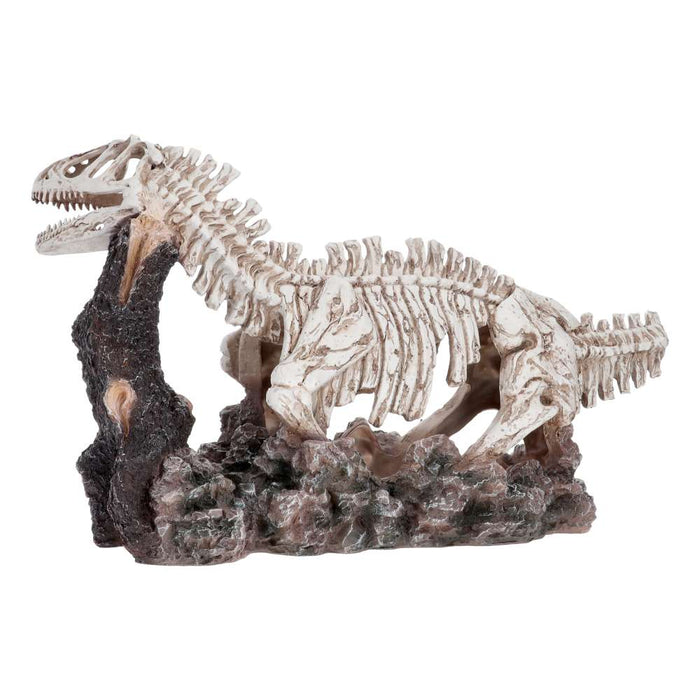 ProRep Dinosaur Skeleton Allosaurus 58x22x34cm