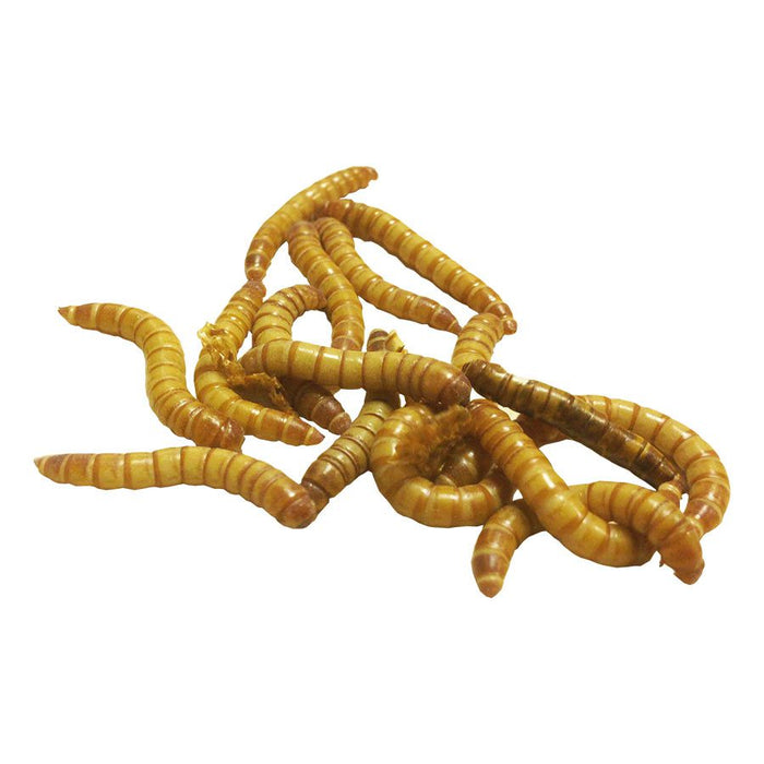 Mealworms (Bag of 250g)