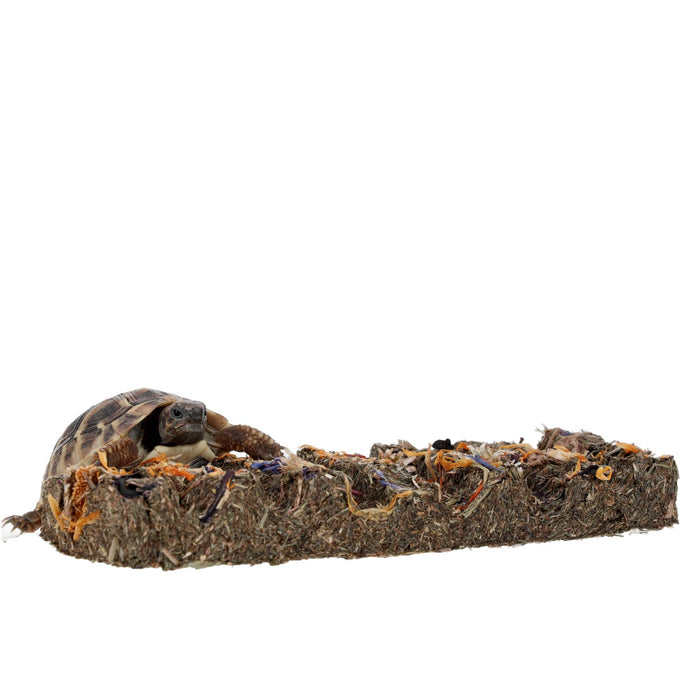 ProRep Tortoise Flower Foraging Bar