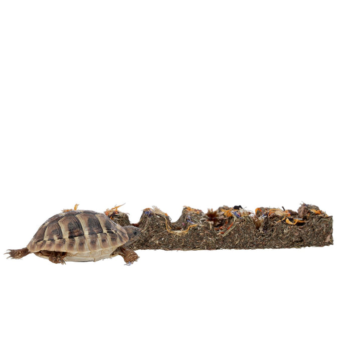 ProRep Tortoise Flower Foraging Bar