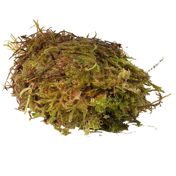 Habistat Sphagnum Moss - 1kg