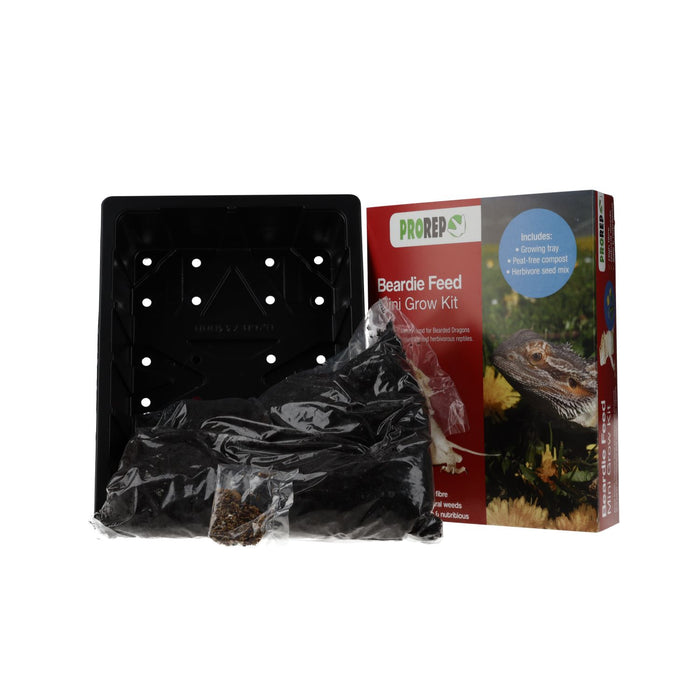 ProRep Beardie Feed Mini Kit