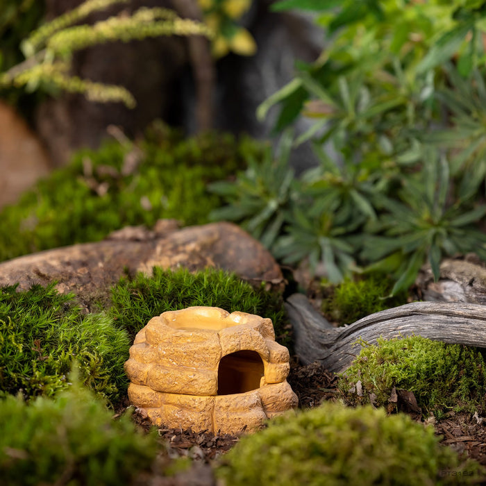 ExoTerra Big Rock Small Ceramic Cave with lid