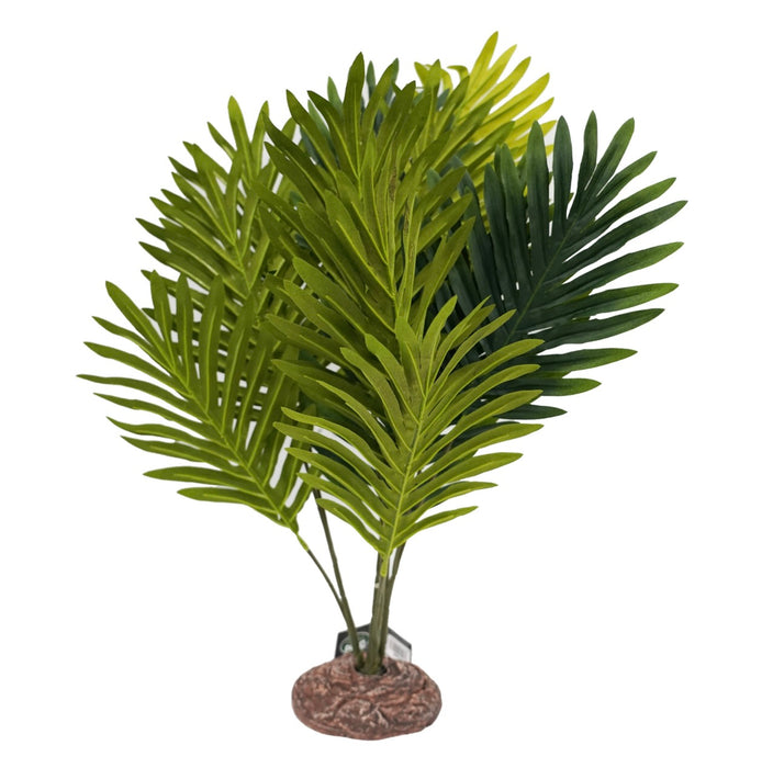 Betta Terra Large Palm Plant 56cm