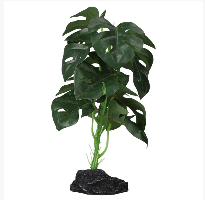 PROREP Terrestrial Monstera 27cm
