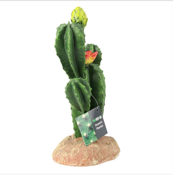 ProRep Flowering Cactus Med 16.5×10.5×22.5cm