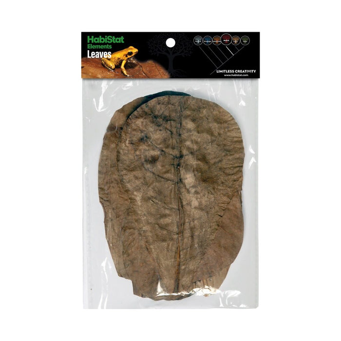 HabiStat Leaves - Catappa