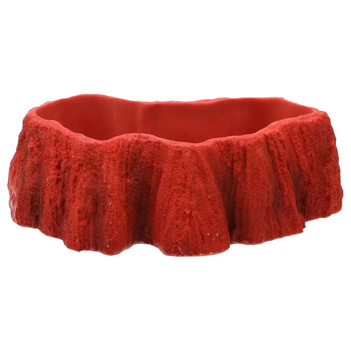 ProRep Beardie Billabong Pool Small 180x130x53mm