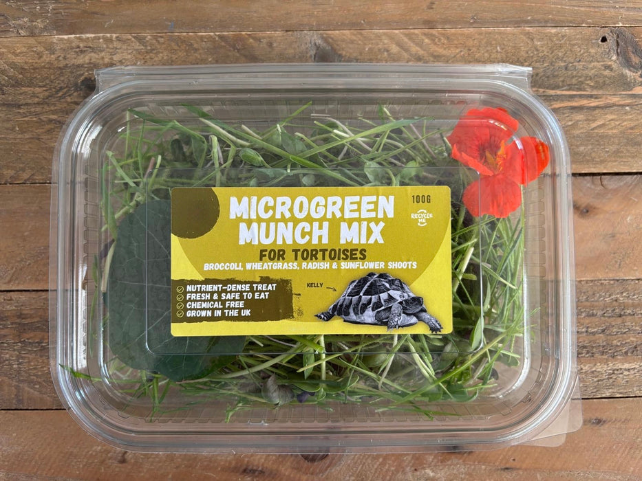 Microgreen Munch Mix for Tortoises, 100g