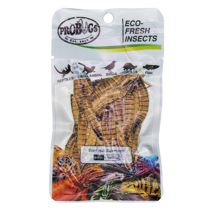 ProBugs Eco Fresh Superworm, 20g - Reptiles By Post