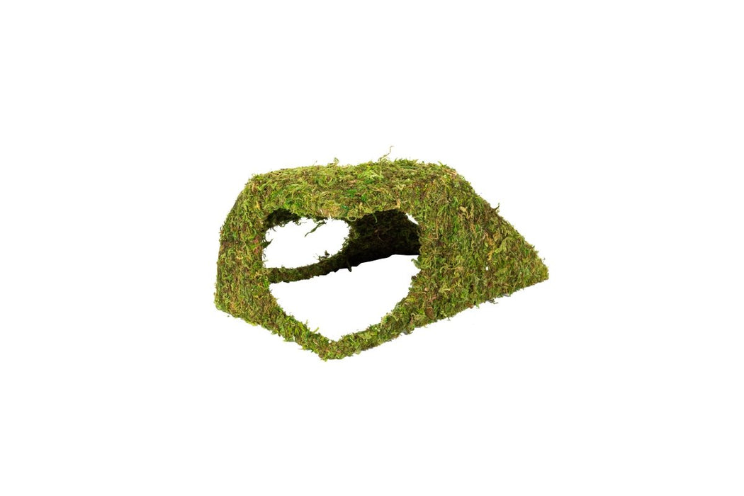 Reptizoo Natural Moss Dome