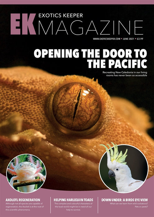 EK Magazine - June 2021 (Issue 8)