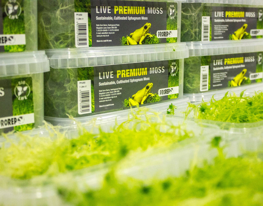 Pro Rep Live Plant: Premium Sphagnum Moss, 1000ml