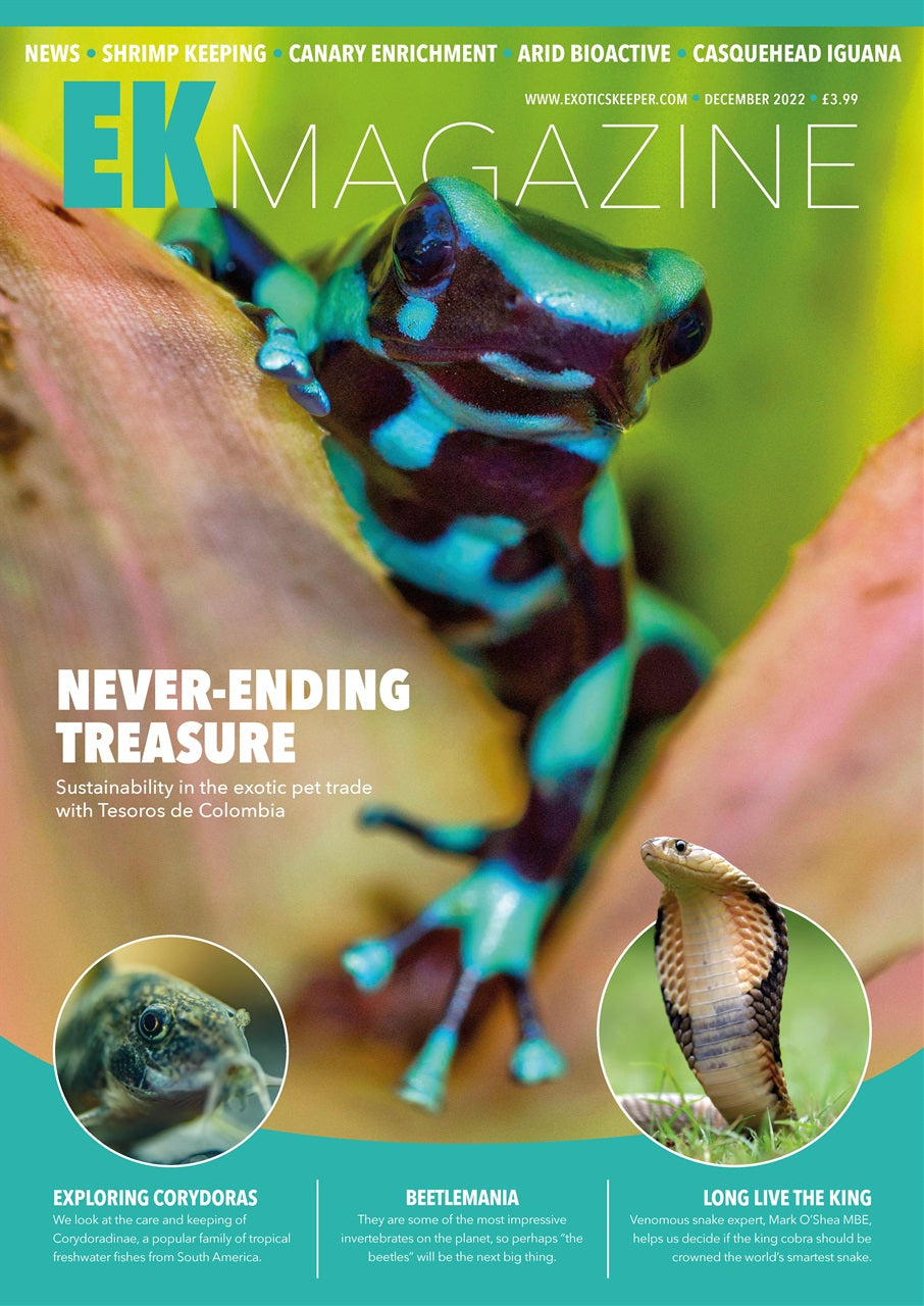 EK Magazine - December 2022 (Issue 26) — The Reptile Hotel