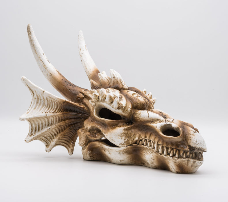 PR Dragon Skull Large 28.5×21.5×19.5cm