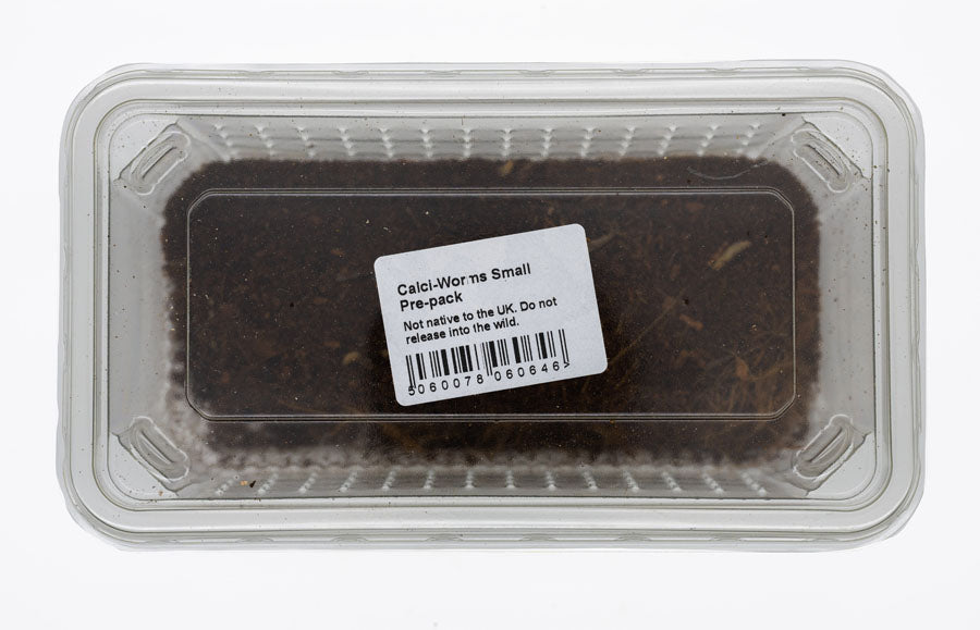 Calci-Worms Small, pre-pack