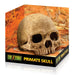 Exo-Terra Primate Skull Default Title
