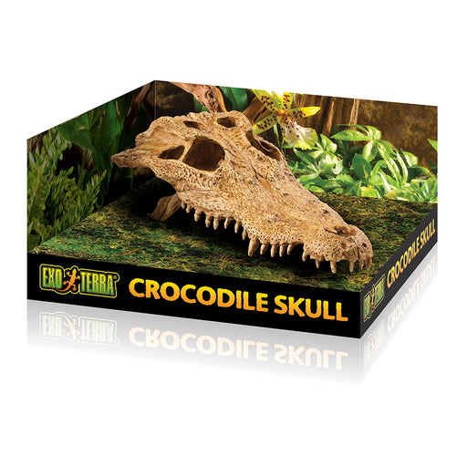 Exo-Terra Crocodile Skull Default Title