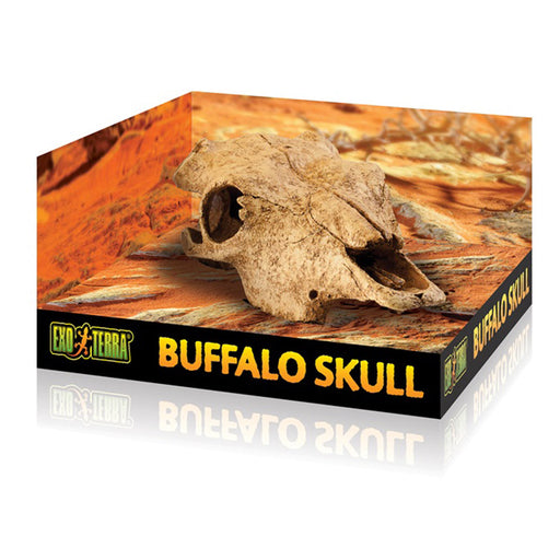 Exo-Terra Buffalo Skull Default Title