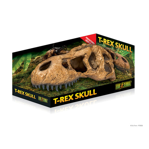 Exo-Terra T Rex Skull Default Title