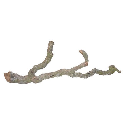 Lucky Reptile Tronchos Branches 60-90cm Default Title