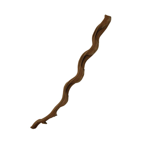 ProRep Natural Snake Vine, 60cm Default Title
