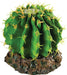 RS Cactus with Rock Base 10 x 10 x 8cm Default Title