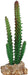 RS Cactus with Rock Base 5.5 x 5 x 14cm Default Title