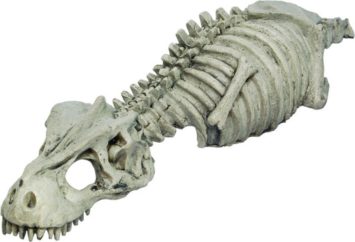 RS Skeleton Dinosaur 27 x 8 x 4cm Default Title