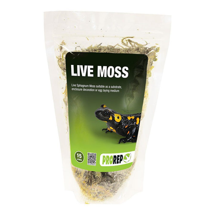 ProRep Live Moss, Small Bag (approx 1.5L)