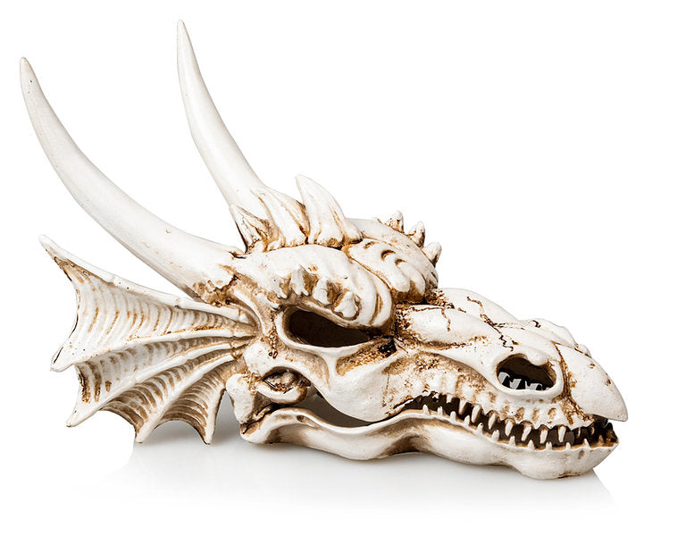 GiganTerra Dragon Skull 28.5x21.5x19.5cm