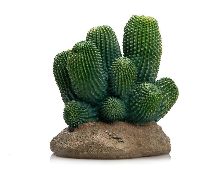 GiganTerra Cactus - 12x12x13cm