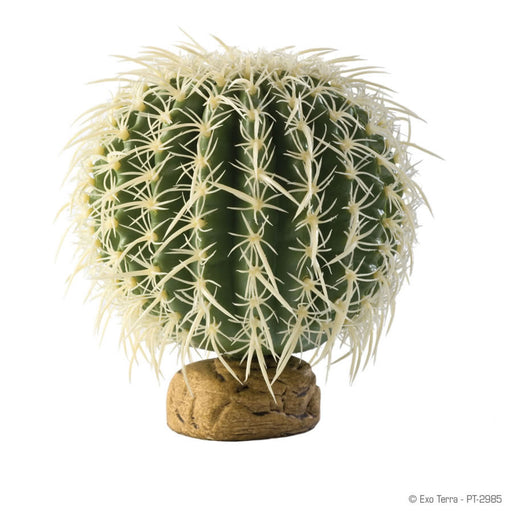 Exo-Terra Barrel Cactus Medium Default Title