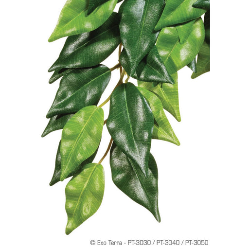 Exo-Terra Silk Plant Ficus Medium Default Title