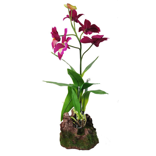 Lucky Reptile Upright Orchid Purple 35cm Default Title