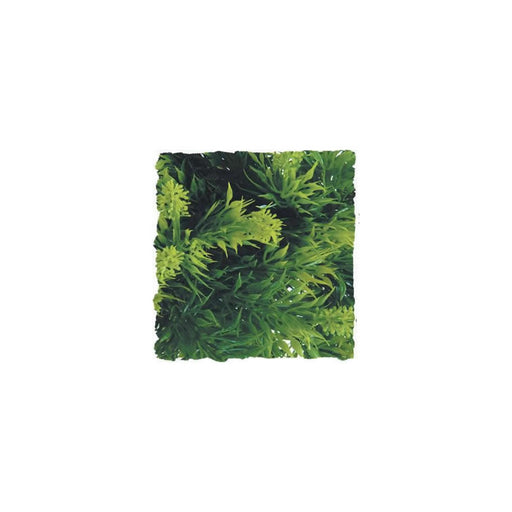 ZooMed Malaysian Fern, Large Default Title