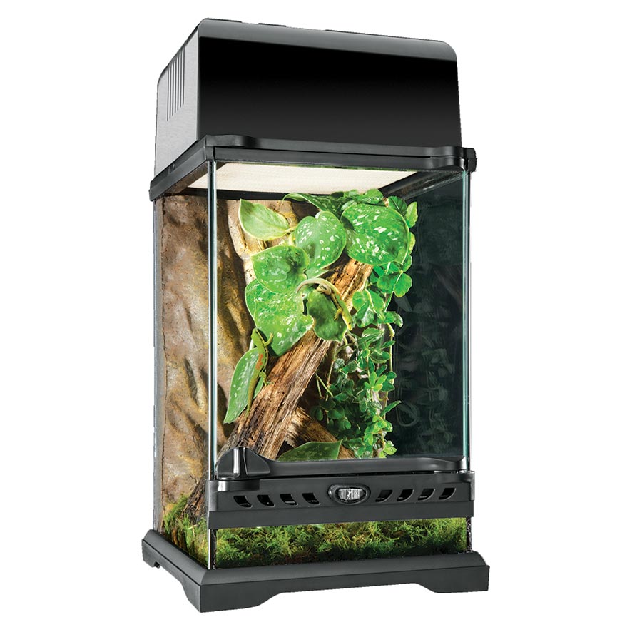 ExoTerra Terrarium Nano/Tall 20cm x 20cm x 30cm — The Reptile Hotel